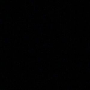 Meet your Posher, Sylvia